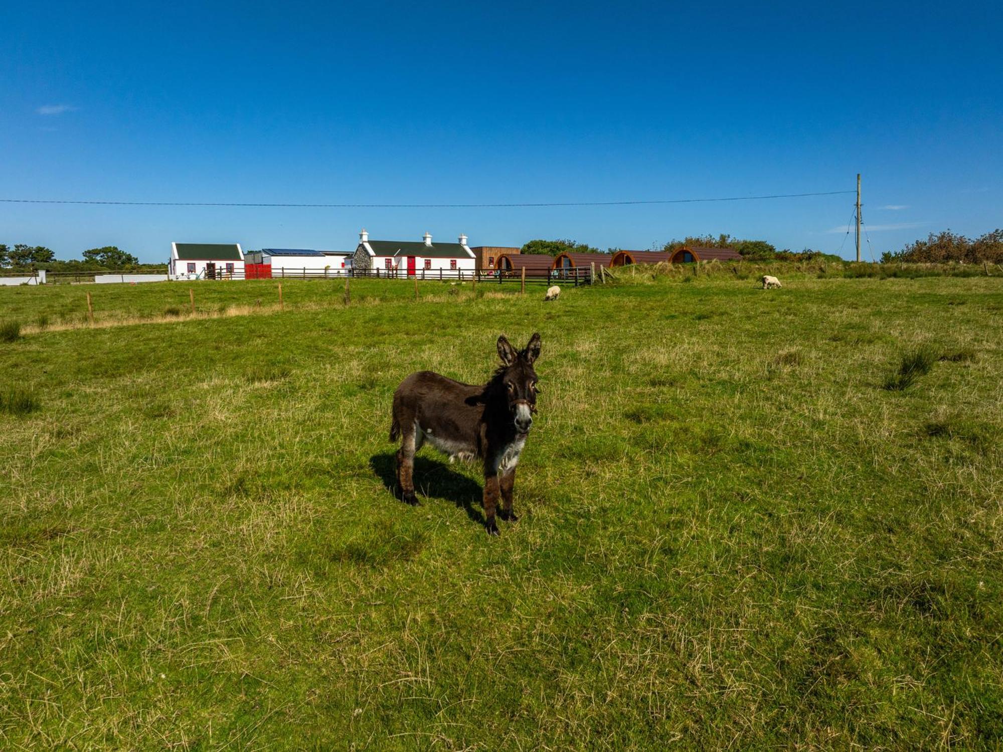 Geraghtys Farmyard Pods Hotel Belmullet Exterior photo